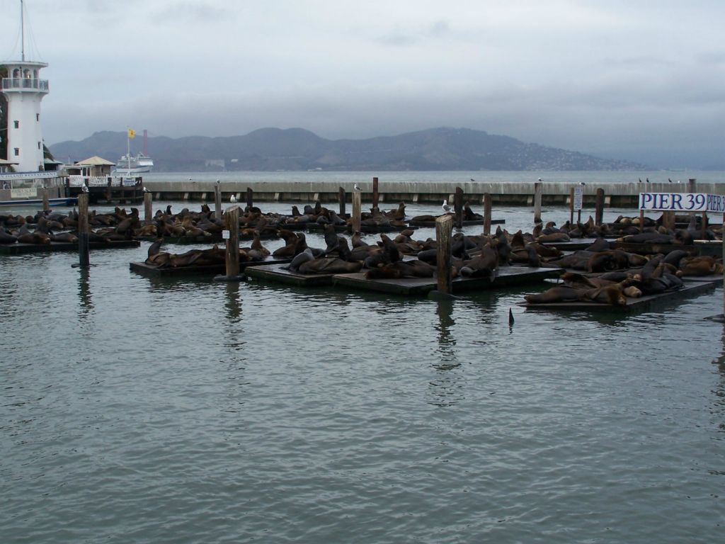 Photo provided by Craig Howells